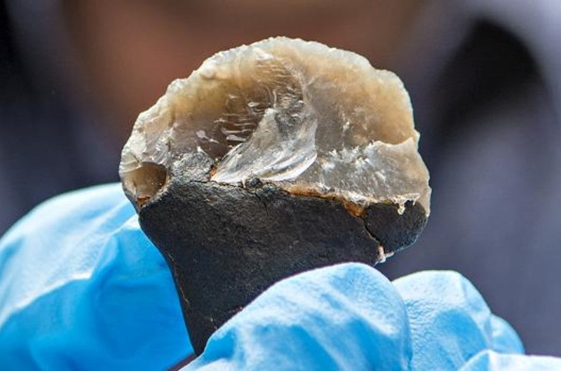 Neandertal ‘Yapıştırıcısı’ Karmaşık Düşünceye İşaret Ediyor