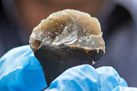 Neandertal ‘Yapıştırıcısı’ Karmaşık Düşünceye İşaret Ediyor