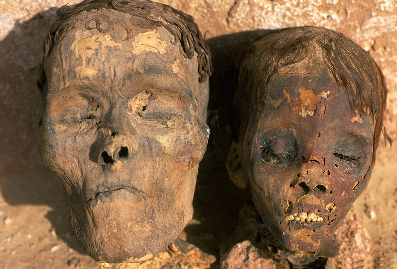 4.000 Yıllık Mumyalarda Kalp Rahatsızlıkları Bulundu