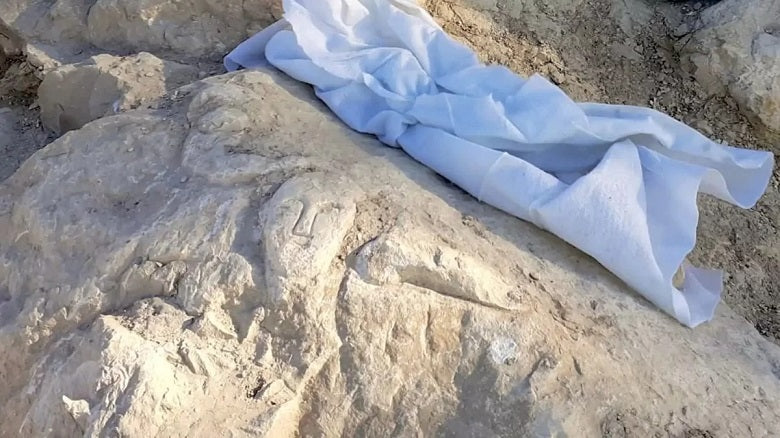 İspanya’nın Tossal de La Cala kalesinde 2.000 yıllık kayaya oyulmuş bir yüz keşfedildi