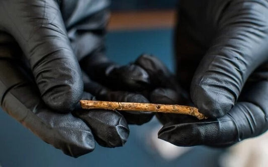 Arkeologlar, kuzey İsrail’de keşfedilen 12.000 yıllık flütlerin kuşları cezbetmek için kullanılmış olabileceğini söylüyor