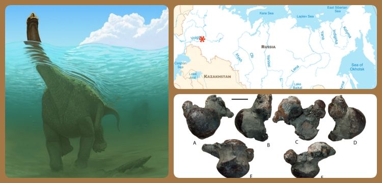 Rusya'da 17 tonluk yeni dinozor türü keşfedildi