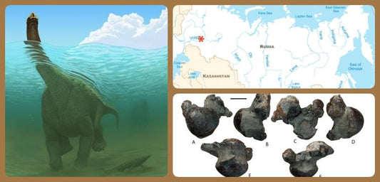 Rusya'da 17 tonluk yeni dinozor türü keşfedildi