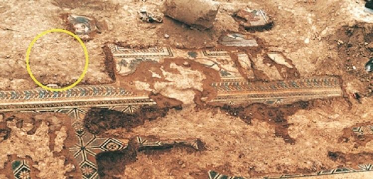 Hermitage Müzesi de Türkiye'den kaçırılan bir mozaiği saklıyor