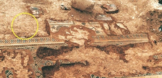 Hermitage Müzesi de Türkiye'den kaçırılan bir mozaiği saklıyor