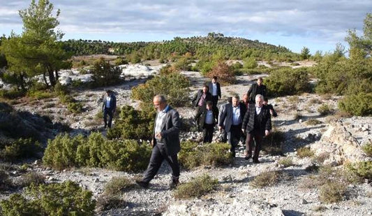 21 Milyon Yıllık Fosil Ağaç Ormanı 'Tabiat Anıtı' İlan Edilecek