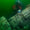 Mısır'ın batık şehri Heracleion'da bir tapınak ve bir tekne bulundu