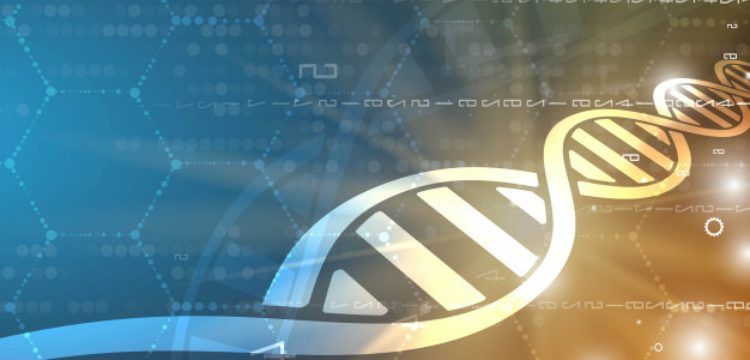 Antik DNA Analizleri ne kadar güvenilir?