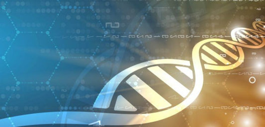 Antik DNA Analizleri ne kadar güvenilir?