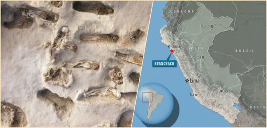 Peru'da dev bir kurban edilmiş çocuklar mezarlığı daha bulundu