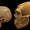 İnsanların Afrika’dan Taşıdığı Hastalıklar Neandertalleri Zayıflattı