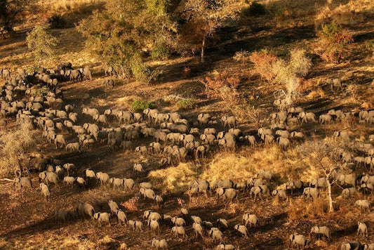 Natgeo’nun Görülmesi Gereken Yerler Listesinde Göbeklitepe Var