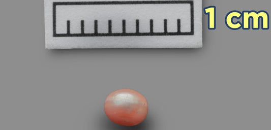 Dünyanın en eski incisi Marawah Adası'nda bulundu