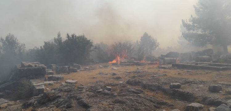 Priene Antik Kenti'nde yangın
