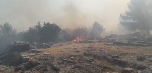 Priene Antik Kenti'nde yangın