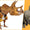 Yüzde 87'si tamamlanan Triceratops fosili Melbourne'de sergilenecek