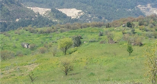 Bilecik’te Kaçak Kazı Yapanlar Suçüstü Yakalandı