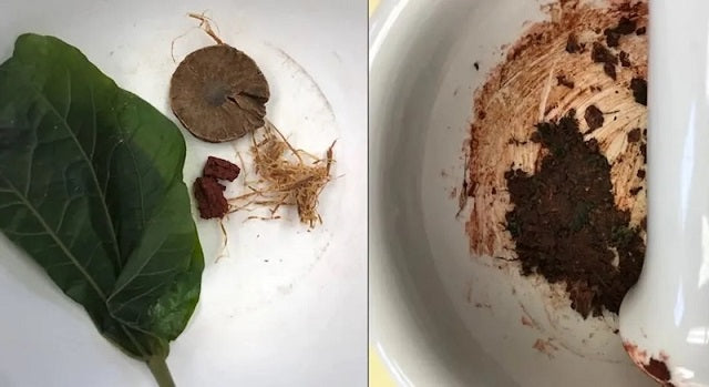 İnsanlar 4.000 Yıl Önce Psikoaktif Areka Ceviziyle Kafa Buluyordu