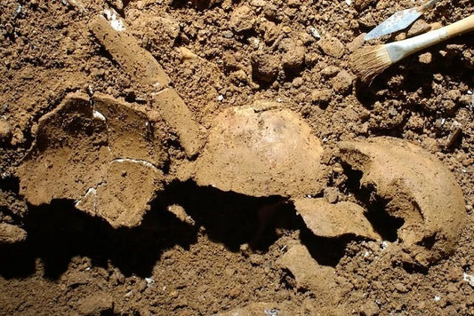 2025 Aralık Ayında Öne Çıkan 10 Arkeoloji Haberi