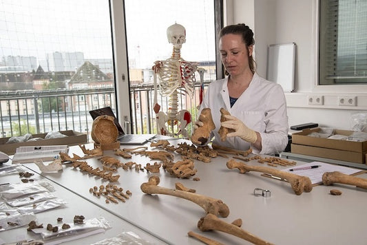 İskeletlerdeki İzler Yaşlanmaya mı Hastalığa mı Ait?
