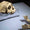 Afrika Dışına Çıkan İlk İnsan, Homo erectus Olmayabilir