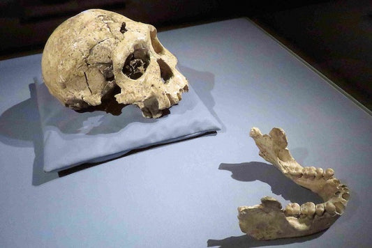 Afrika Dışına Çıkan İlk İnsan, Homo erectus Olmayabilir