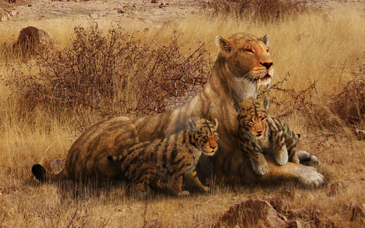 Smilodon (Kılıç dişli kedi)