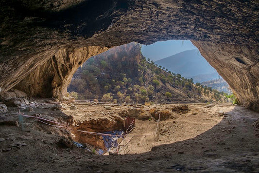 Neandertaller Ölülerini Gerçekten Çiçeklerle mi Gömdü?