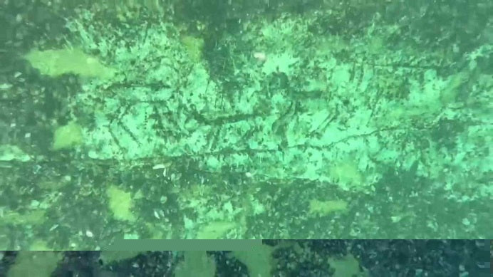 Türkiye'deki Atatürk Barajı'nın Suları Altında 12.000 Yıllık Kaya Oymaları Keşfedildi