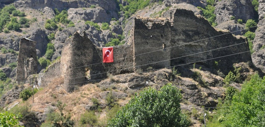 Ani surları ile Şavşat Kalesi restore edilecek