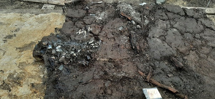 10.500 Yıllık Bir Ritüelin Gizemi: Almanya'nın En Eski Yakma Mezarı Yakınlarında Ahşap Bir Direğe Monte Edilmiş Yaban Öküzü Kafatası Bulundu