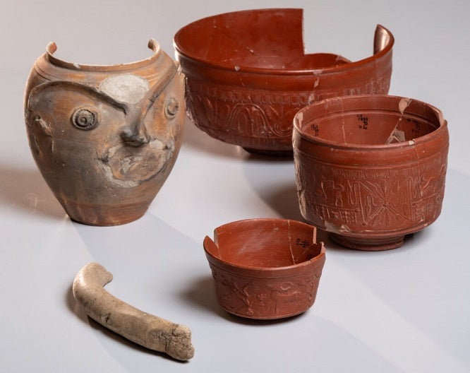 Nijmegen'de Nadir Bir Roma Kemik Penis Bulunması, Müzenin Unutulmuş Kutuları Açması
