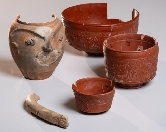 Nijmegen'de Nadir Bir Roma Kemik Penis Bulunması, Müzenin Unutulmuş Kutuları Açması