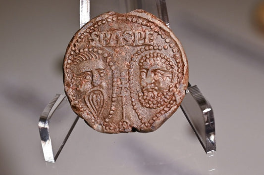 Mezarlıkta keşfedilen 600 yıllık Papalık boğası