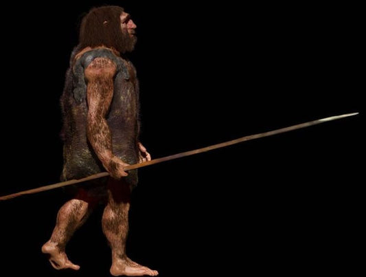 Neandertaller Avını Uzak Mesafeden Öldürebiliyordu
