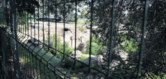 Mimar Gülsün Tanyeli: Saraçhane'de arkeolojik park konusu gündeme alınmalı
