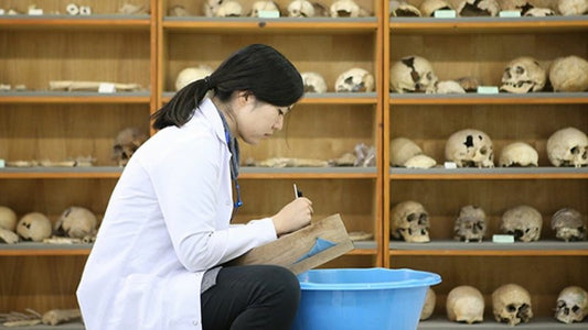 Hacettepe Üniversitesi’nde Antik DNA Laboratuvarı Açılıyor