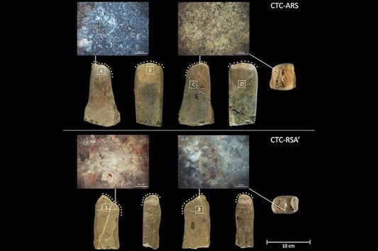 Neandertaller 40.000 Yıl Önce Tahılları Öğütüyordu