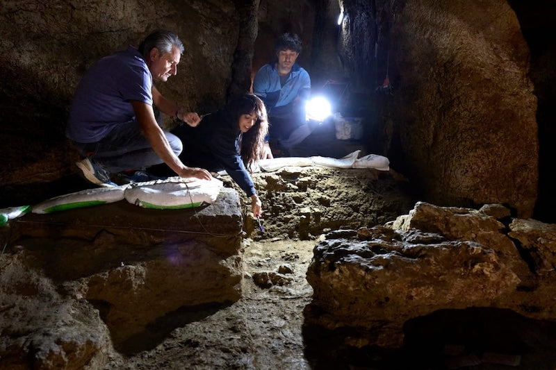 İspanya’da 46.000 Yıllık Neandertal Elinden DNA Elde Edildi