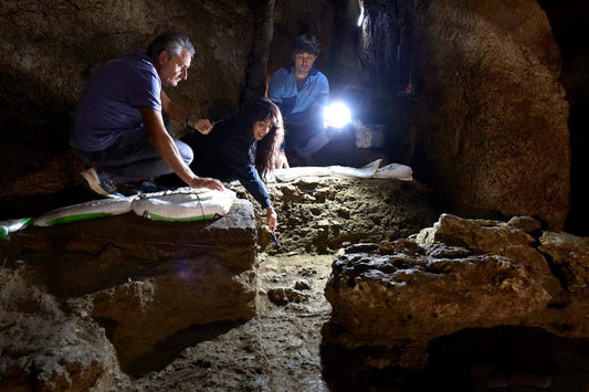 İspanya’da 46.000 Yıllık Neandertal Elinden DNA Elde Edildi