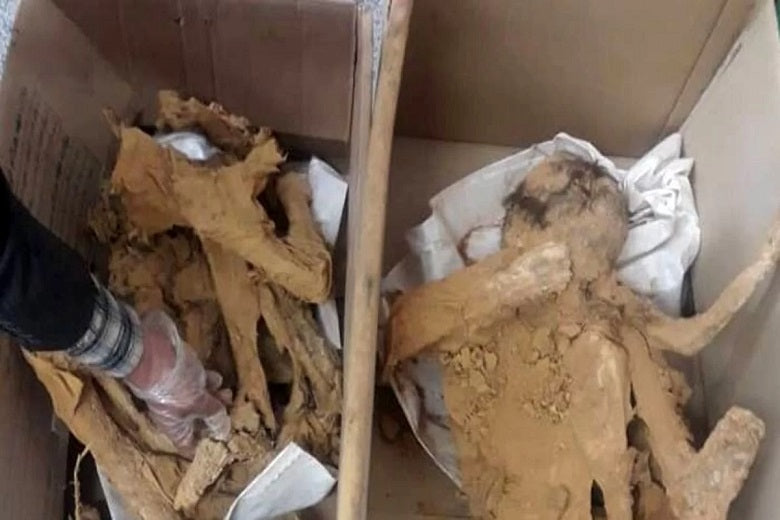 İran’da dokuz çocuğa ait 3.000 yıllık iskeletler keşfedildi