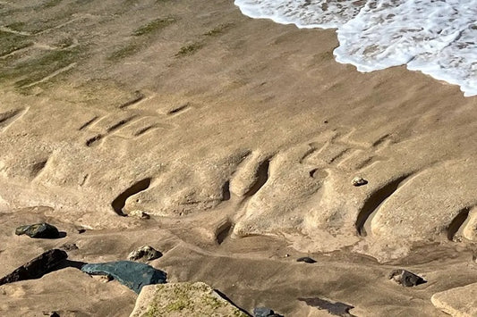 Antik Hawaii Kaya Resimleri, Yıllarca Kumun Altında Kaldıktan Sonra Oahu Kıyısında Yeniden Ortaya Çıktı