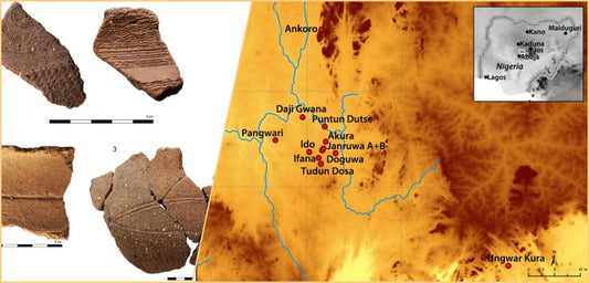 Afrika'da 'Arıcılık endüstrisi' 3500 yıl önce oldukça faal vaziyetteydi