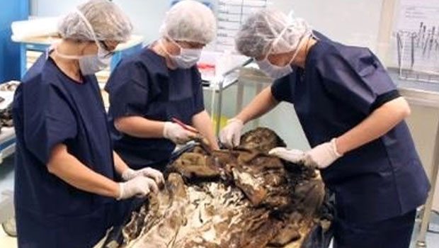 350 yıllık mumya herkesi şaşırttı!