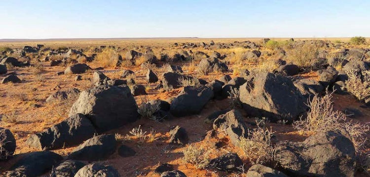 Güney Afrika'daki 2 bin yıllık taş duvarların tuzak olduğu anlaşıldı