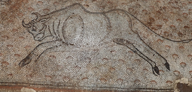 İslahiye'de bulunan mozaikler Zeugma Mozaik Müzesi'ne taşınıyor