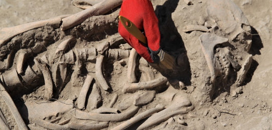 İremir Höyüğünde Urartu geleneklerine göre gömülmüş 2 mezar bulundu