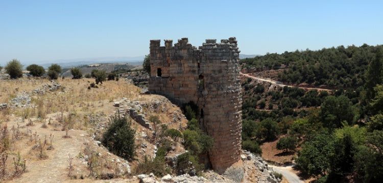 Hatay'daki Koz Kalesi'nde yüzey temizliği yapılıyor