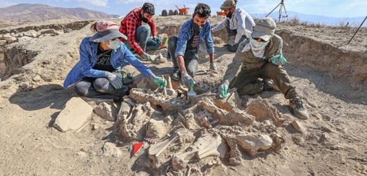 Van'da hayvanlarla gömülmüş bir Urartu soylusu mezarı bulundu