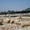 Arkeologlar Soli Pompeipolis Antik Limanı'nın mendireklerini arıyor